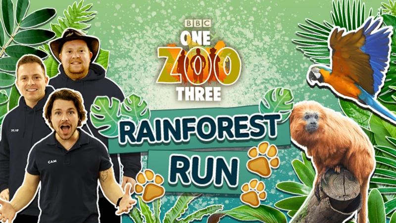 One Zoo Three: Rainforest Run